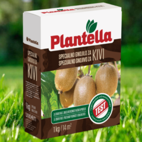 Plantella Kiwi