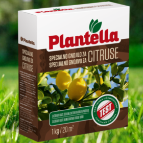 Plantella Citrus